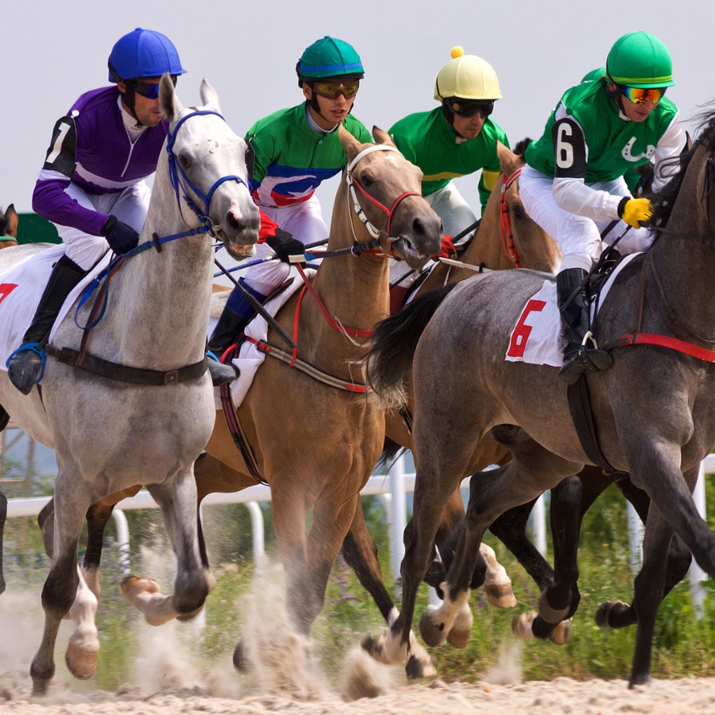 Hourse Racing Mahadev Book